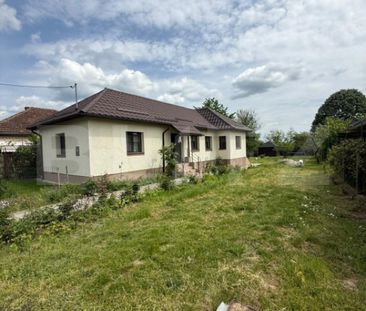 Casa individuala, Zona Unirii, 3 camere - Photo 6