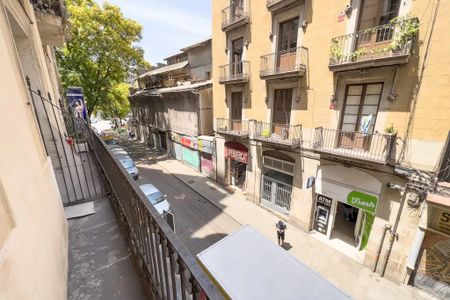 Carrer Nou de la Rambla, Barcelona, Catalonia 08001 - Photo 3