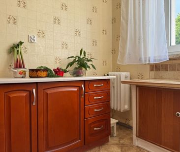 Drzewa za oknem, 2 pokoje, oddzielna kuchnia 43.4 m² - Photo 5