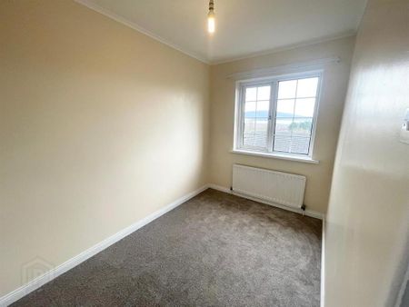 55 Belfast Road, Holywood, BT18 9ES - Photo 4