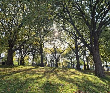Room in a Shared House, Radford Road, NG7 - Photo 5