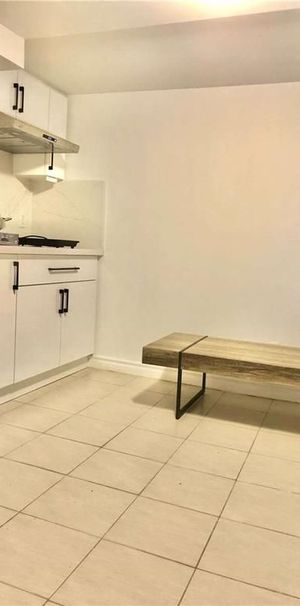 For Lease - 78 Glenstroke Drive Unit# Bsmt, Toronto, Ontario - Photo 1