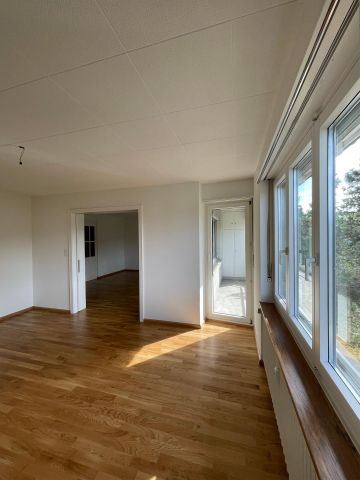 Helle 3-Zimmerwohnung mit Balkon in Münchenstein sofort ver... - Photo 4
