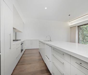 240 Crown Street, Darlinghurst NSW 2010 - Terrace For Rent | Domain - Photo 4