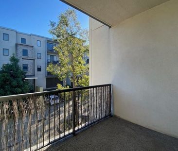 Inner-City Living in Park Rise - Photo 5