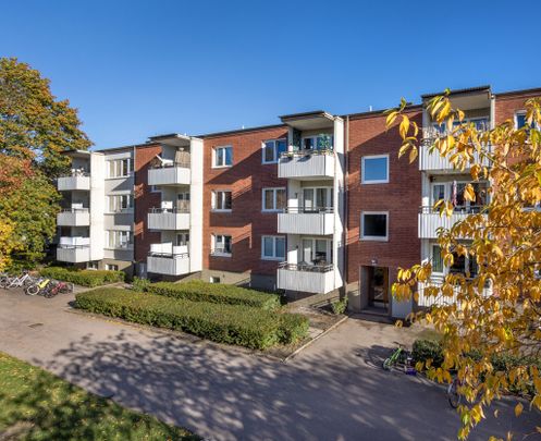 Bangatan, Västerås - Photo 1