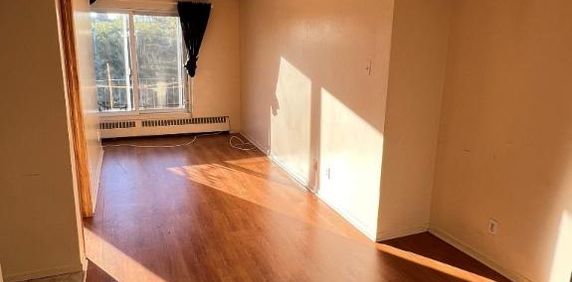 1 CH - 1 SDB - Montréal - $1,146 /mo - Photo 2