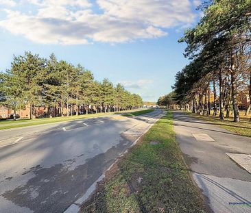 2 bedroom semi-detached house to rent - Photo 5