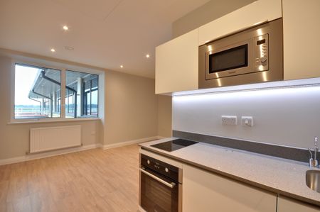 Studio to rent - Photo 3