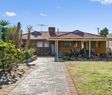 Spacious Family Home Backing onto Marri Reserve - Photo 6