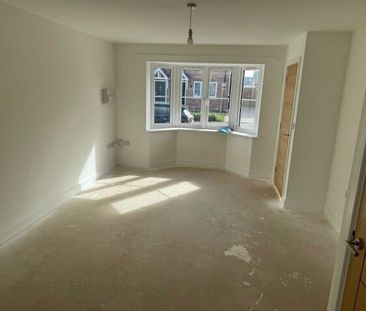 Delamore Drive - Photo 6