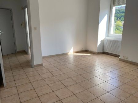 Location appartement 3 pièces 49.45 m² à Aubenas (07200) - Photo 4