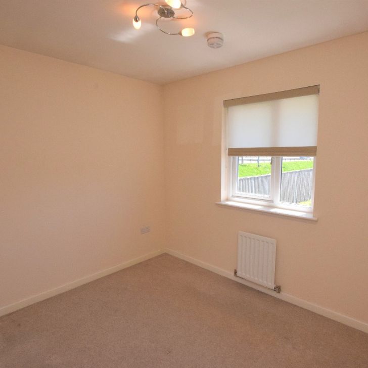 James Weir Grove - Photo 1