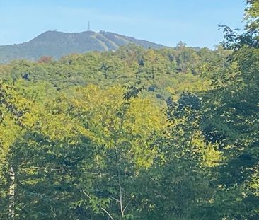 3 ½ , à louer, avec ACCÈS au Lac-Supérieur (vue sur Mont-Tremblant) - Photo 3