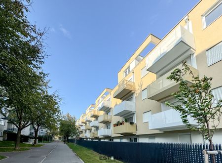 Wohnung in Ruhelage mit Balkon - Leberberg - Photo 5