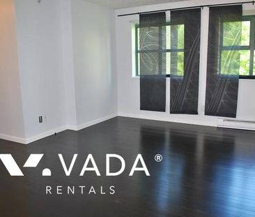 Unfurnished, 2 Bed 2 Bath Apartment For Rent - Photo 5