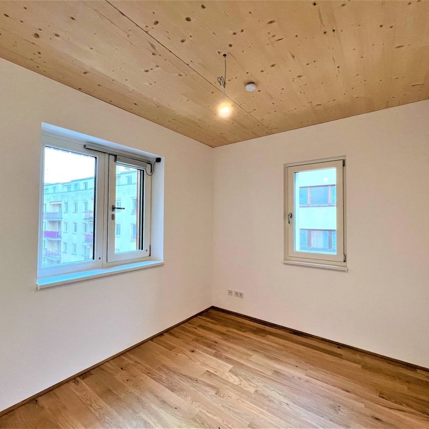 Neubau in Massivholzbauweise - Photo 1