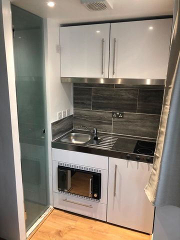 Studio Flat, Oakley House, W5 - Photo 3