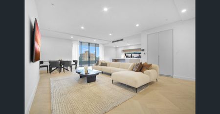 Brand New Large Sub Penthouse Apartment - Photo 3