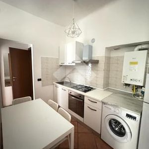 Trilocale in affitto - Photo 2