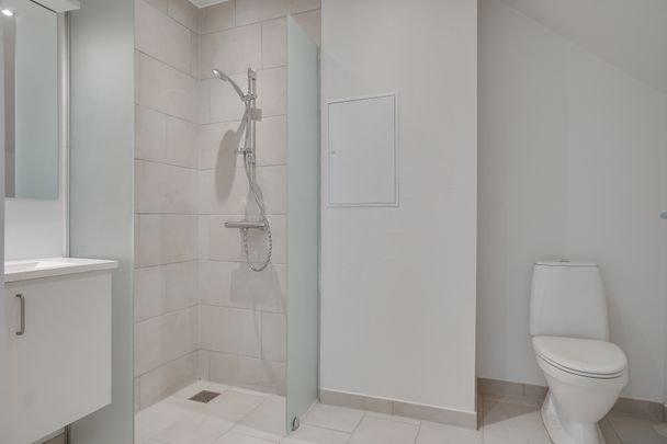 Stor 1-vær lejlighed i hjertet af Viborg - Photo 1