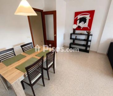 Piso en alquiler en Pago San José - Princi - Jerez - Photo 4