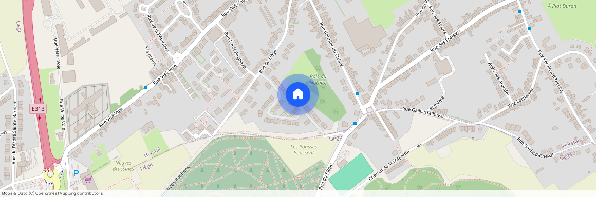 Rue des Machiroux, 29, 4000, Liège