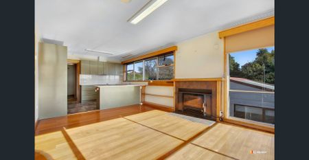 Sun Filled Family Home - Photo 3