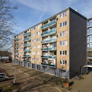 Plutostraat, 2402 XE Alphen aan den Rijn, Nederland - Foto 2