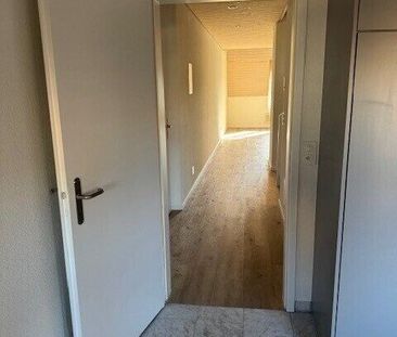 Befristeter Mieter für 1 Jahr gesucht - Foto 5