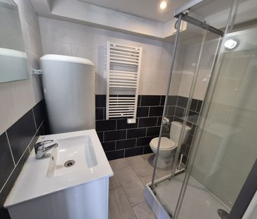 Location Appartement 1 pièce 29m² ANICHE 59580 - Photo 6