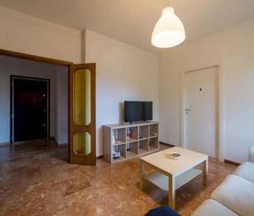 Bright room in Piazza Augusto Conti - Photo 2