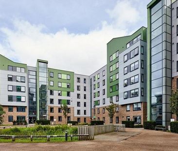 1 bedroom in a flat share to rent - Photo 5