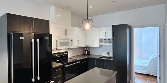 4 1/2 - Meublé - Plateau Mont Royal - Photo 3