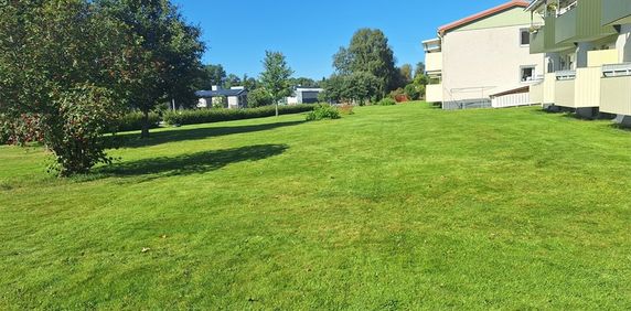 Björkbergsvägen 31 - Photo 2