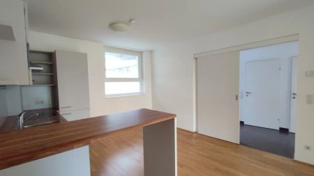 SQUADRO- mitten im Grünen, mitten in der Stadt - Foto 3