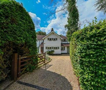 Sutton Place, Abinger Hammer, RH5 - Photo 5