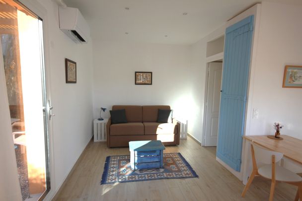 Studio Climatisé avec Cour en rez-de-chaussée - Photo 1