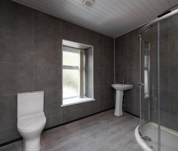 6C Church Street, Ballynahinch, BT24 8AF - Photo 4
