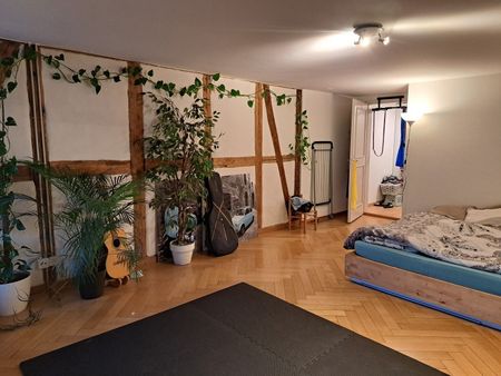 2-ROOM APARTMENT IN BERN - OLD CITY, FURNISHED, TEMPORARY - Foto 5