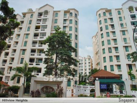 Hillview Heights (D23), Condominium - For Rent - Photo 3