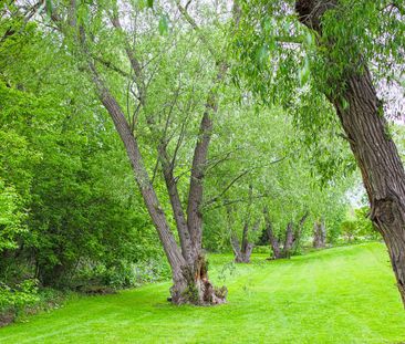 For Lease - 570 Waverly Street Unit# 28, Oshawa, Ontario - Photo 4