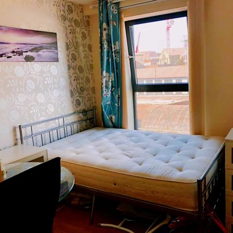 2 Bed / 2 Bath - Photo 1