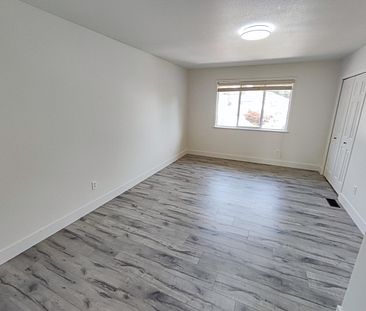 Spacious Newly Renovated 4 Bedroom Home in Panorama Gardens - Photo 5