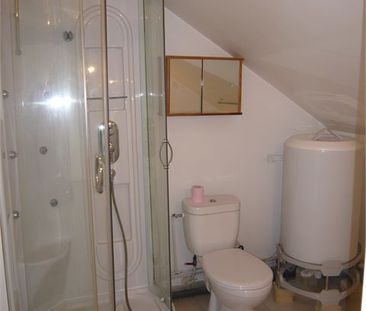 Location Appartement 1 pièce 25m² - Photo 3