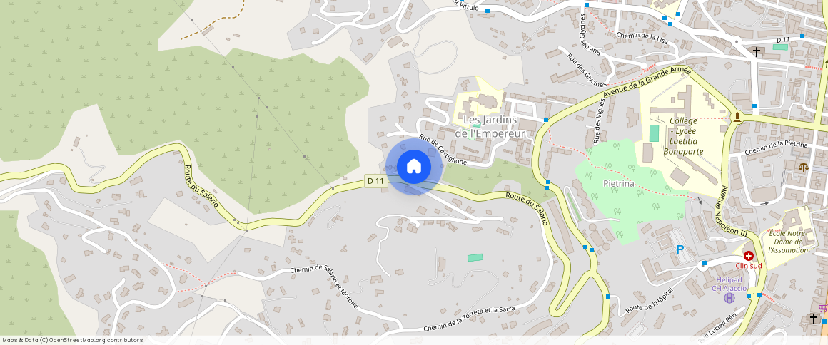 CORSE-DU-SUD (2A), AJACCIO (20000)