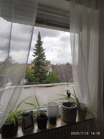 Rabygatan, Limhamn - Foto 3