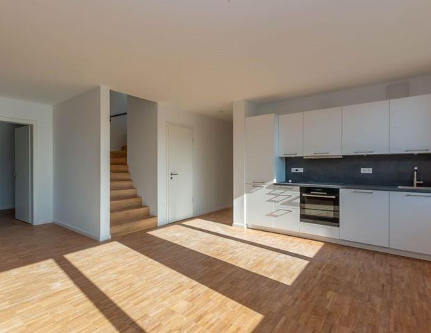Großzügige Neubauwohnung mit Dachterrasse - Foto 1