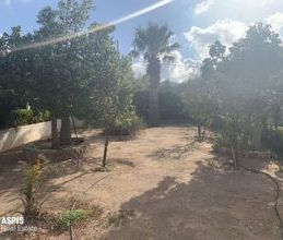 Μονοκατοικία για ενοικίαση - Παλαιά Φώκαια - Photo 6