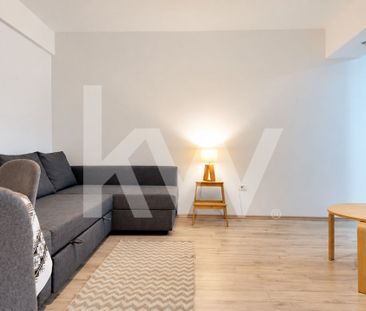 Inchiriere apartament 2 camere, pet-friendly - cartierul Brasovul Vech - Photo 5